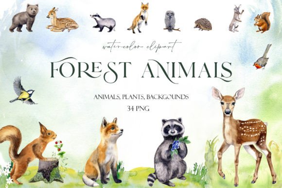Download Watercolor Set Cute Woodland Animals Png - Animal Collection